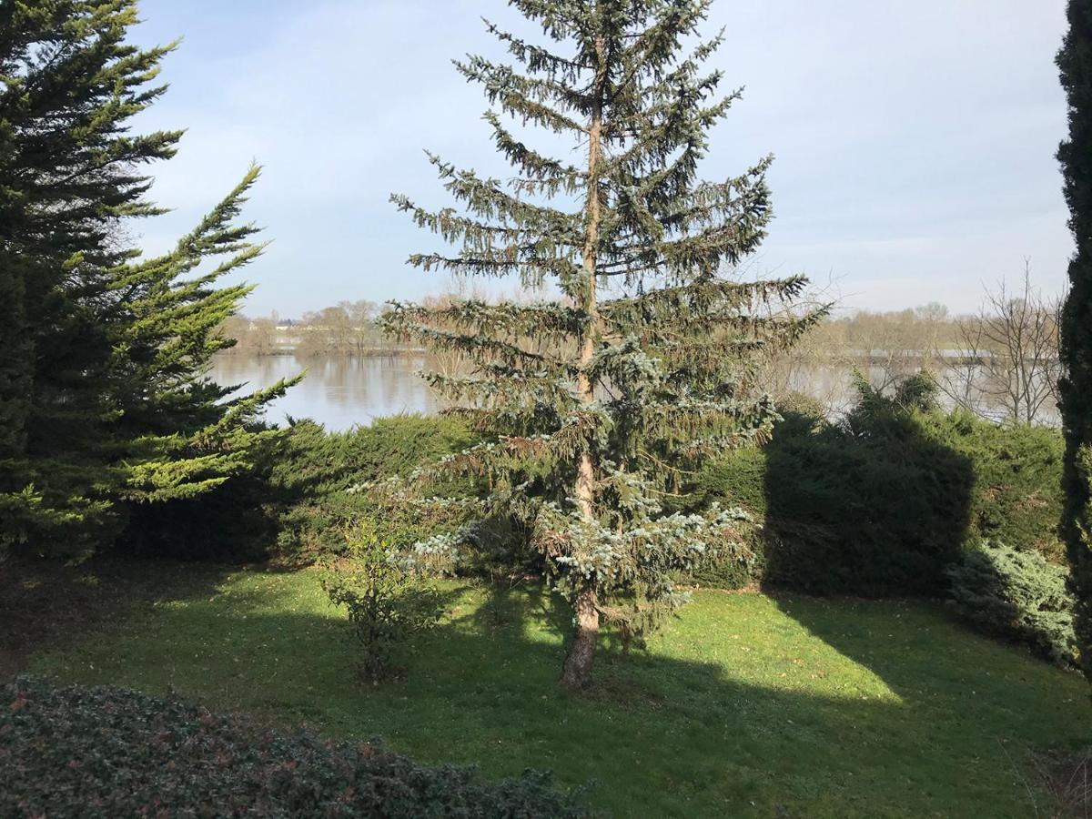 Une Nuit Sur Loire Treves-Cunault Exterior photo
