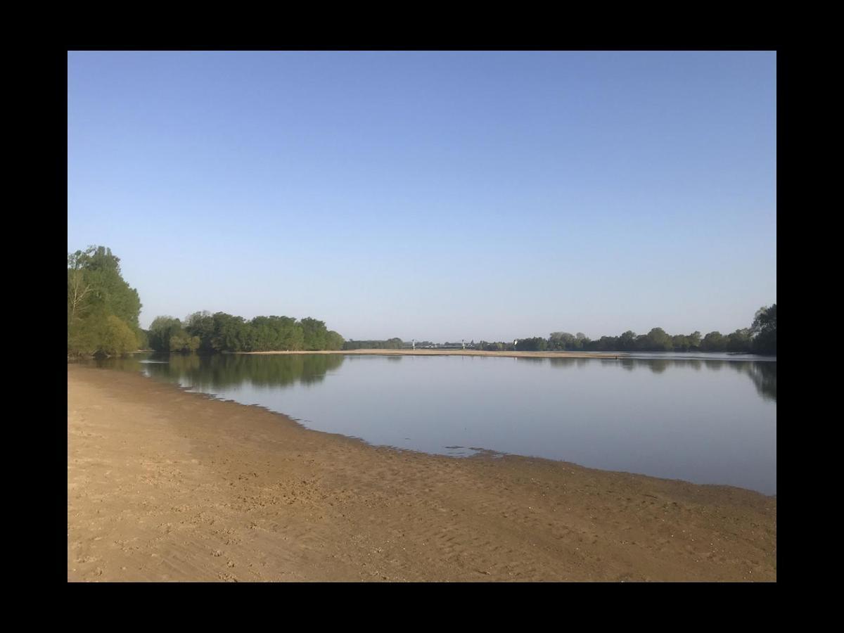 Une Nuit Sur Loire Treves-Cunault Exterior photo